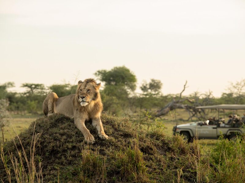 SKT Luxusreisen Singita Faru Faru Ruanda 006