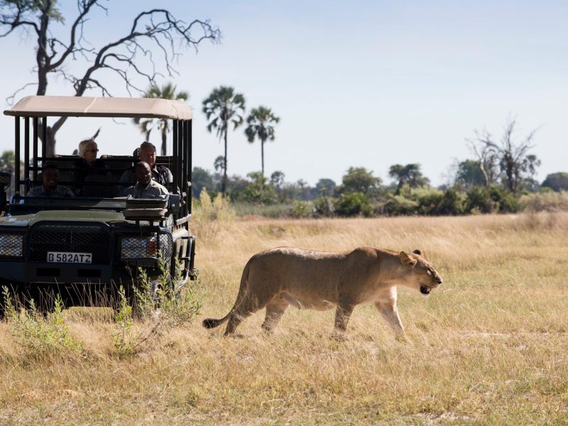 SKT Luxushotels Rundreisen Botswana Nxabega Okavango Tented Camp 002