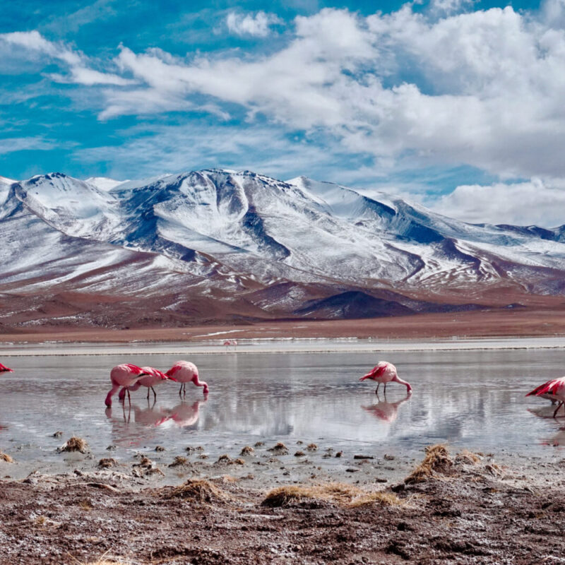 SKT AdobeStock 406844718