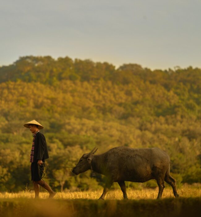 SKT Luxushotels Rundreisen Aman Amantaka Laos 015